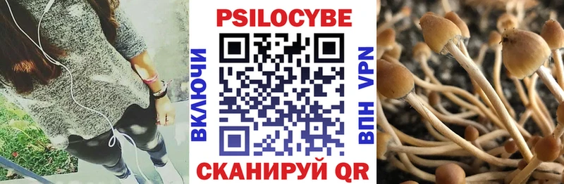Псилоцибиновые грибы мицелий  Купить где  Данилов 